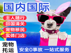 菏泽牡丹机场货运国际宠物托运 【国